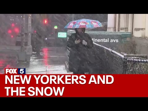 NYC snow: How are New Yorkers dealing with the storm? [Video]