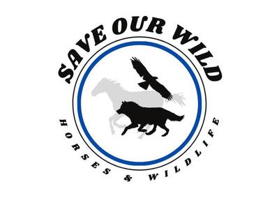 Animal Advocates Radio Voices Carry For Animals #428″- Save Our Wild Horses 02/15 by Animal Advocates Radio [Video]