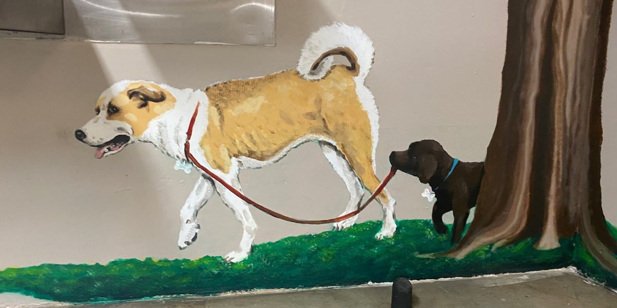 Inmates paint murals to honor dogs in training program at Toledo Correctional Institution [Video]