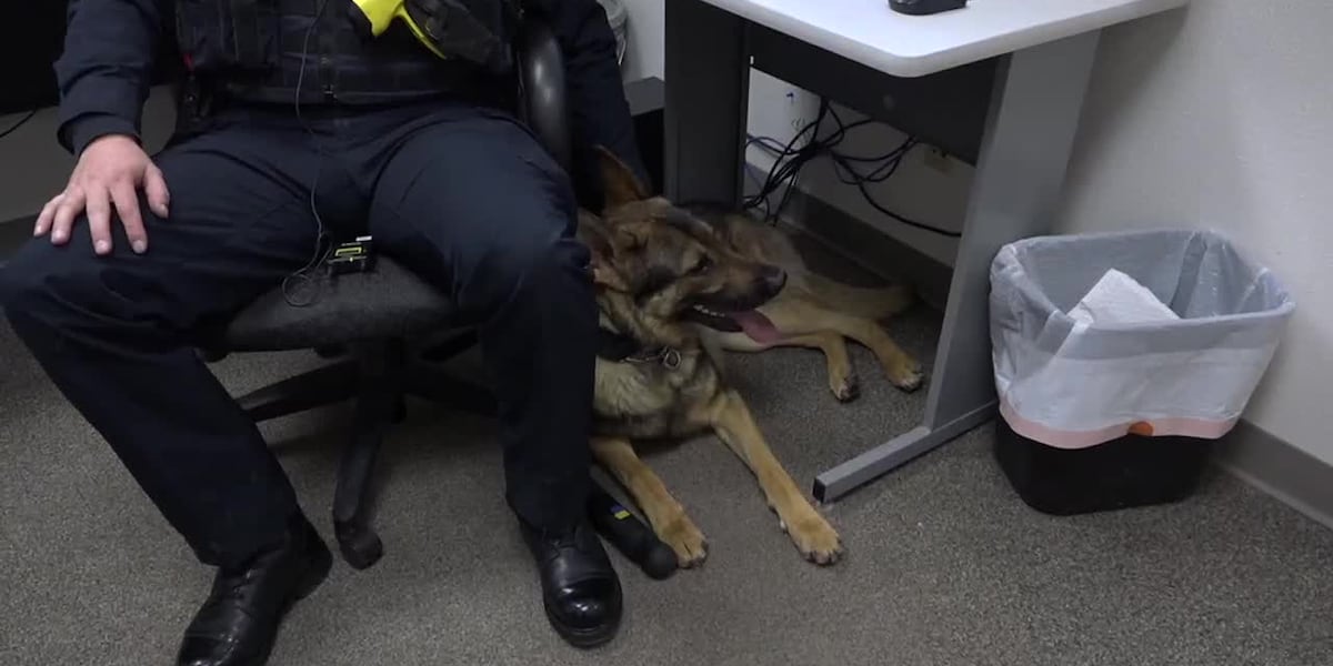 Mills Police now has two dogs in its K-9 unit [Video]