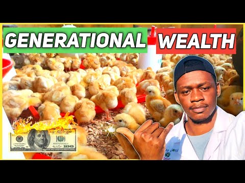 How To Create Generational Wealth Through Poultry Farming [Video]