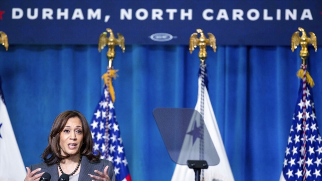 Harris promises 50% increase goal in contracts for minority businesses [Video]