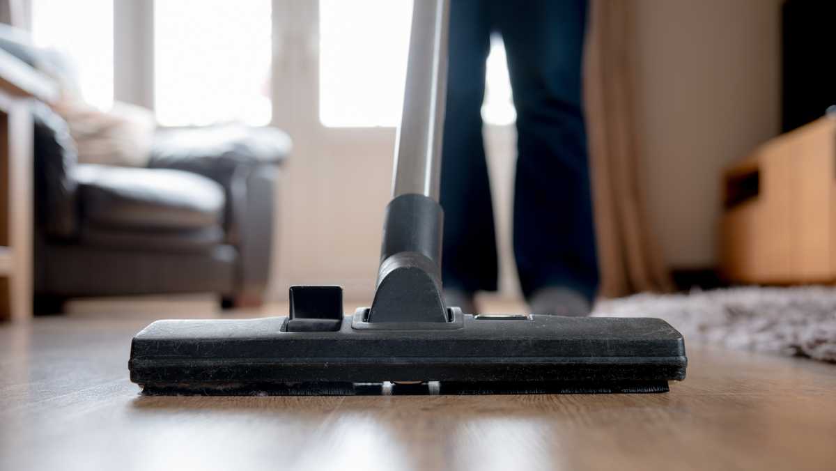 Best value vacuums to tackle cleaning all year-roudn [Video]