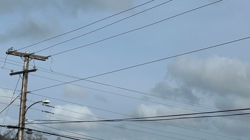 N.S. Power says transmission line interruption caused outage [Video]