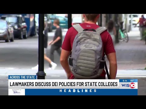 Bill targets diversity, equity and inclusion initiatives in public colleges and universities [Video]