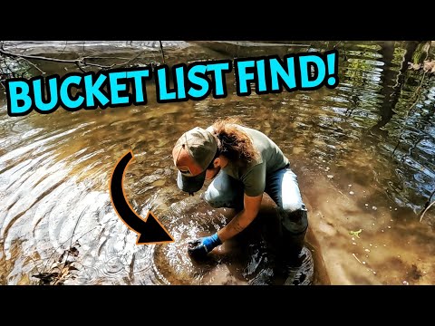 I’ve Been Searching YEARS for THIS! Rare Relics & Native American Artifacts Found in Georgia! [Video]