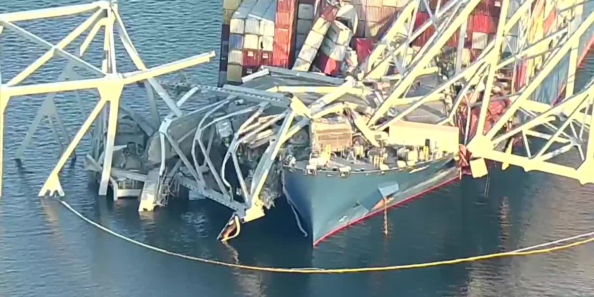 Cranes arrive in Baltimore as salvage operations begin [Video]