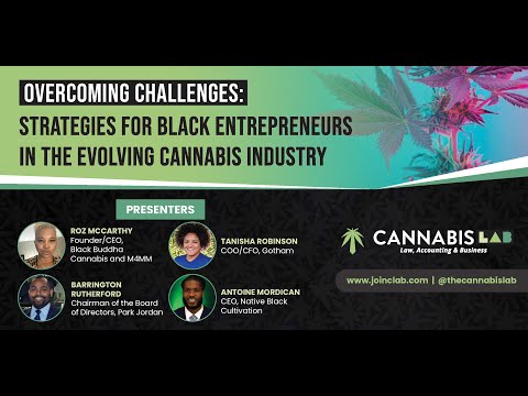 Overcoming Challenges: Strategies for Black Entrepreneurs in the Evolving Cannab*s Industry [Video]