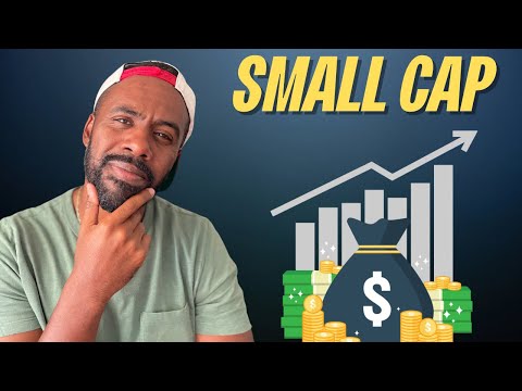 ACCOUNTANT EXPLAINS | What Are Small Cap Growth Funds? [Video]