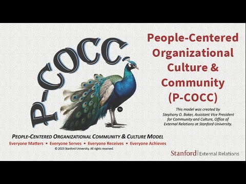 THE P-COCC MODEL: A People-Centered Workplace [Video]
