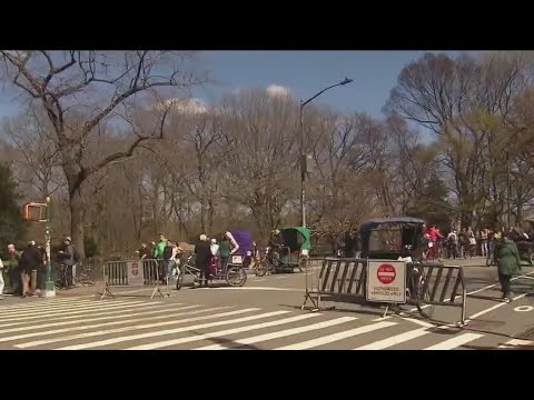 Central Park hammer and rock attacks [Video]