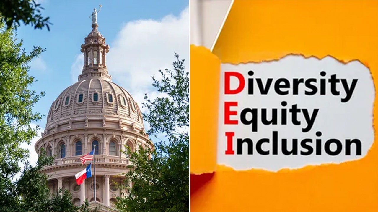 Texas university clears DEI offices, lays off employees in light of new state law: report [Video]