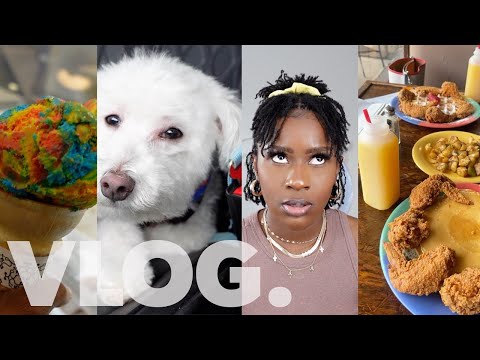Doctor’s Don’t Care About Black Women!! Life Of A Foodie & Dog Mom Duties!! [Video]