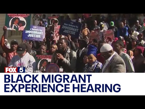 NYC Council holds hearing on black migrant experience [Video]