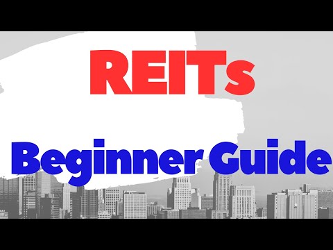 REIT Investing for Beginners :Your Path to Wealth [Video]