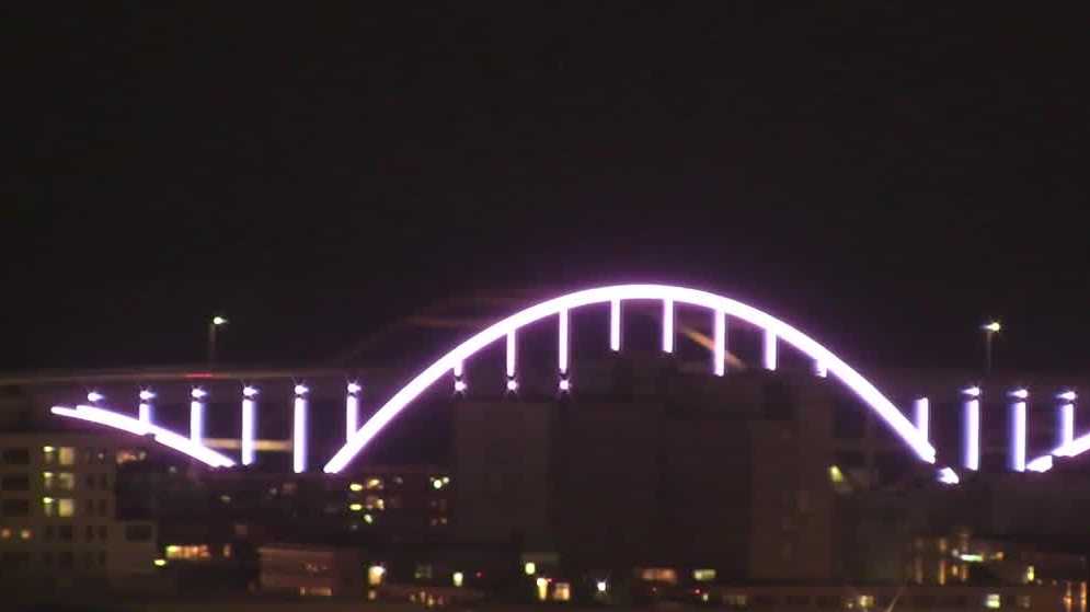 Hoan Bridge lit pink to honor Sade Robinson [Video]