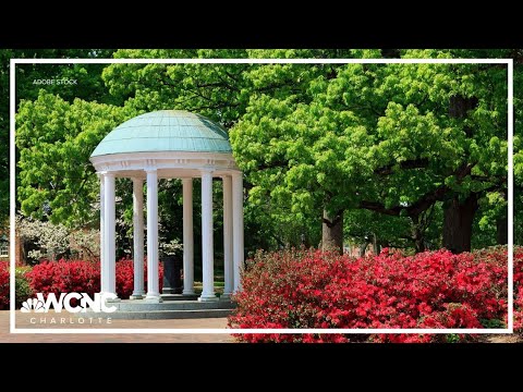 UNC System moves to eliminate diversity goals, could cut diversity staff [Video]