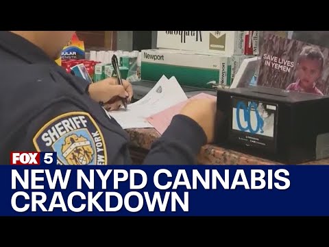 New NYPD cannabis crackdown [Video]