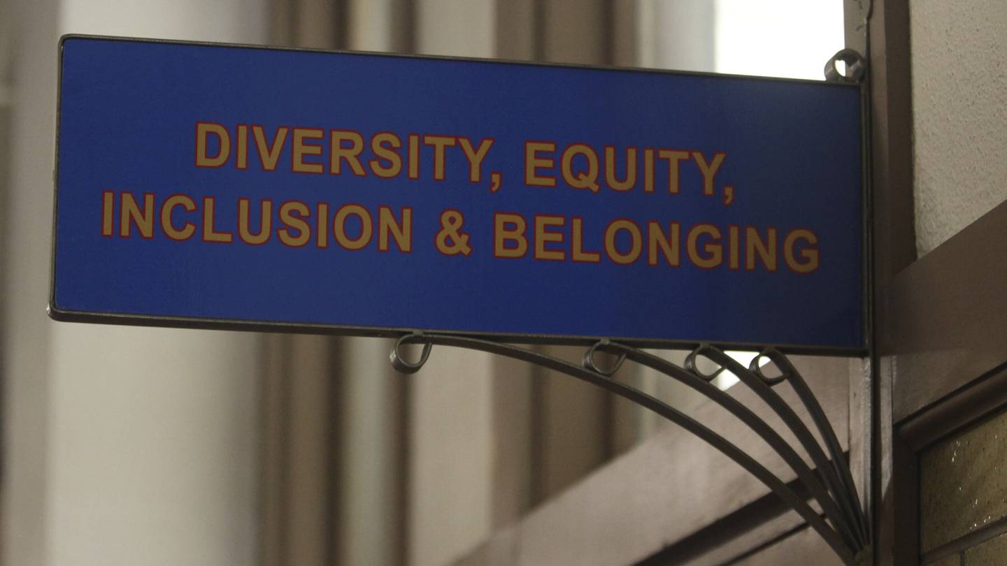 A conservative quest to limit diversity programs gains momentum in states  WSOC TV [Video]
