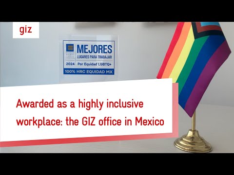 Awarded as a highly inclusive workplace: the GIZ office in Mexico [Video]
