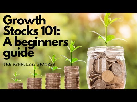 Growth Stocks 101: Beginners Guide [Video]
