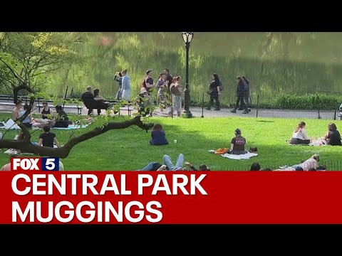 Central Park muggings [Video]