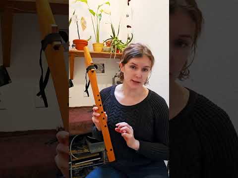 Stellar Basic Native American style F sharp flute overview with Lily [Video]