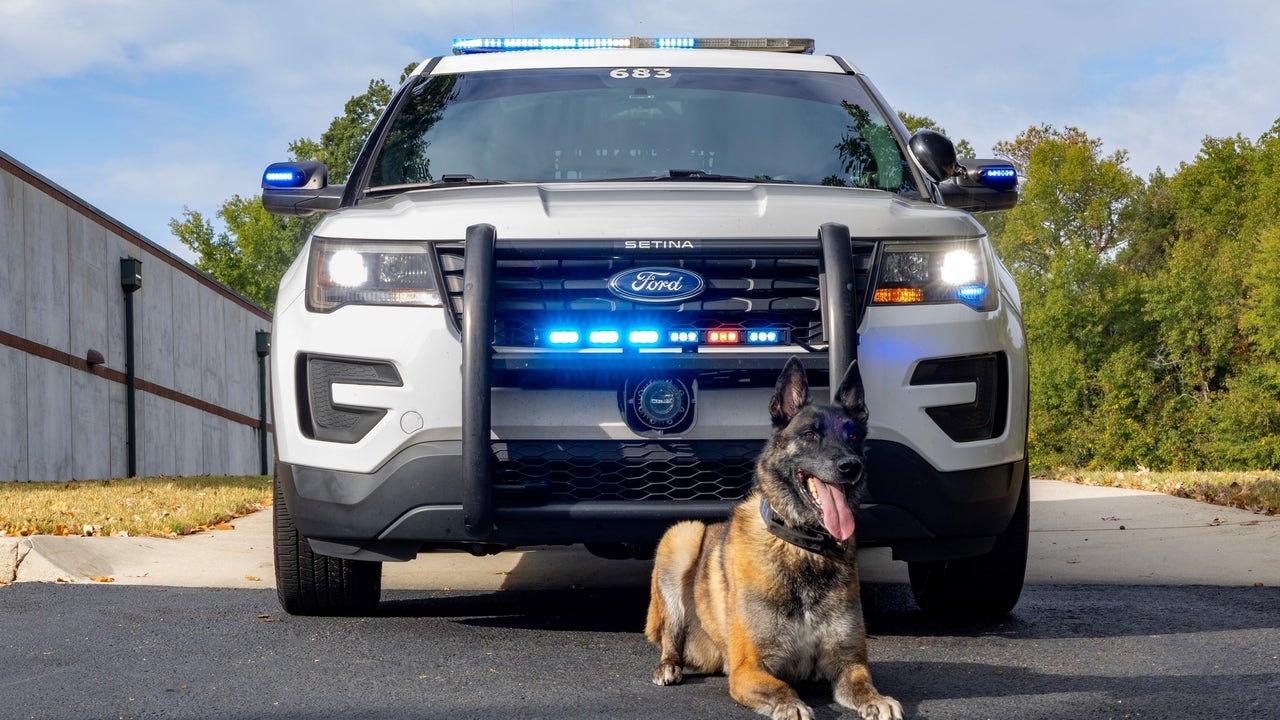 Gwinnet County PD K9 Jekel retiring from service because of medical issue [Video]