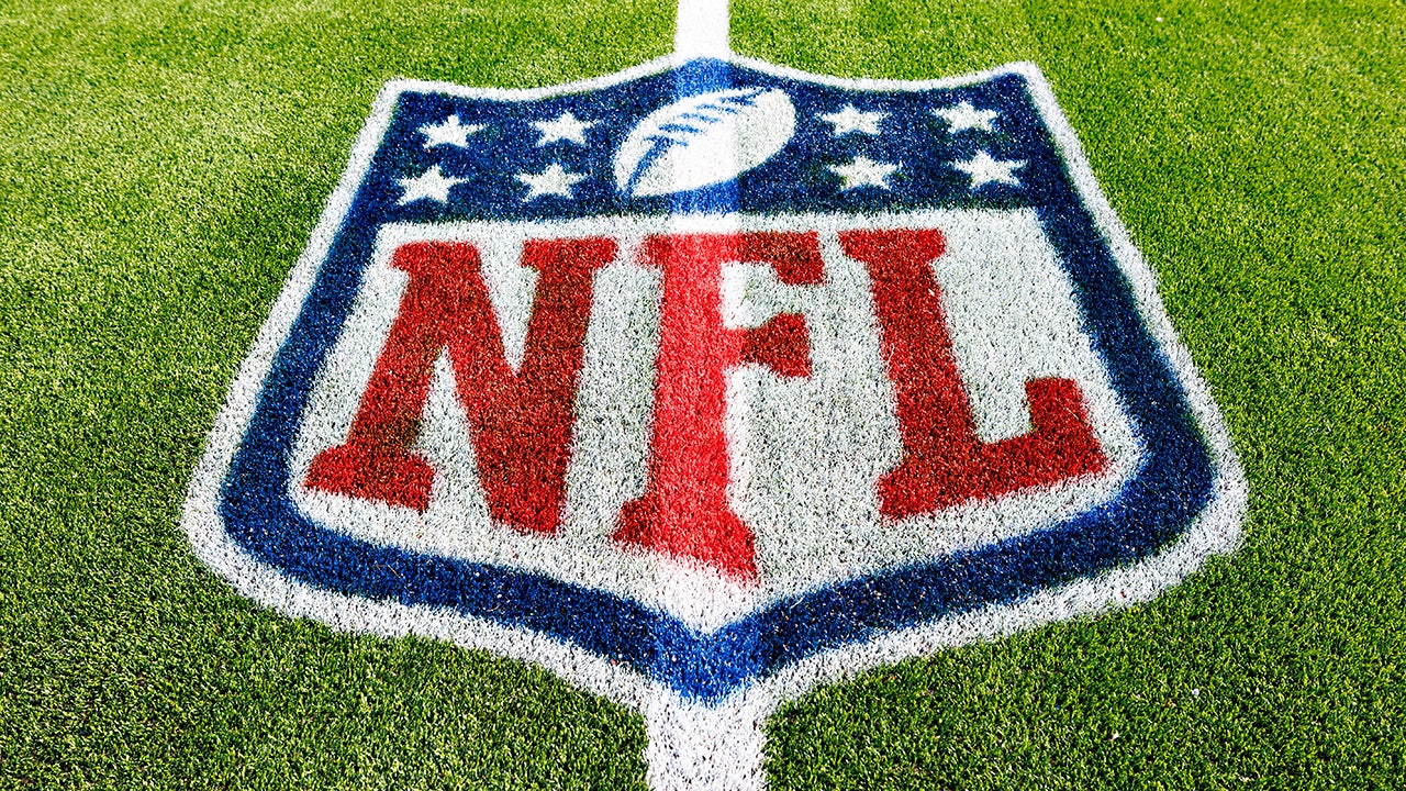 NFL starts initiative to help teams partner with businesses owned by minorities, women [Video]