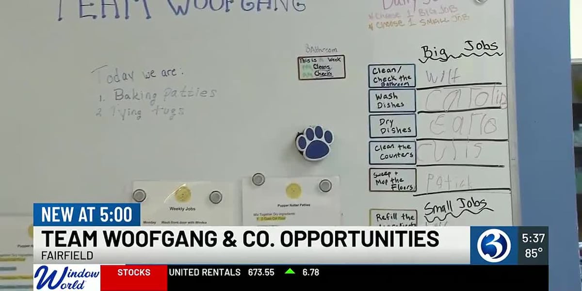 Team Woofgang & Co empowers people with disabilities through homemade dog treat non profit [Video]