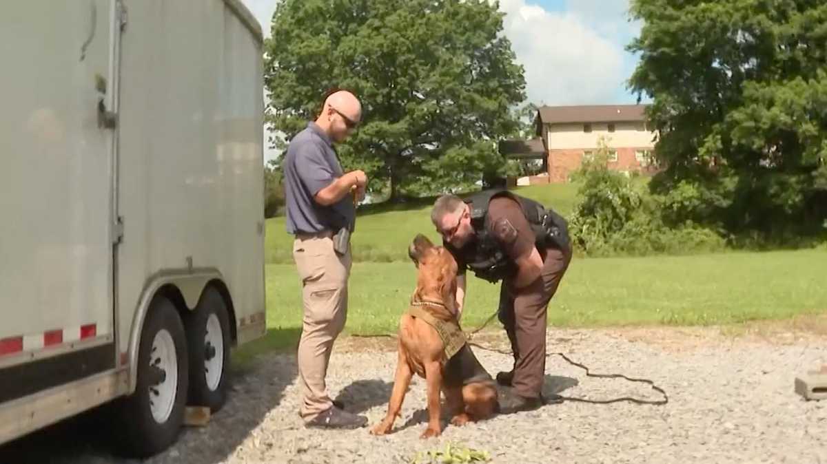 Video: 3-legged K9 continues to fight crime after losing leg [Video]