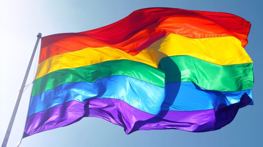 DC raises its pride flag; talks preparation for World Pride [Video]