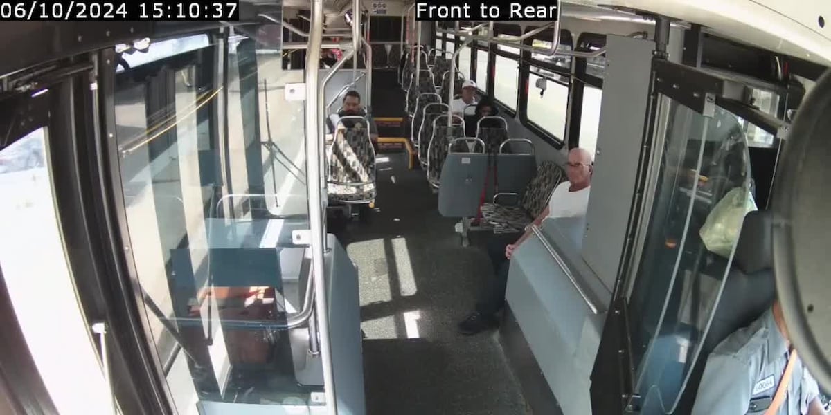 Deer crashes into bus window [Video]