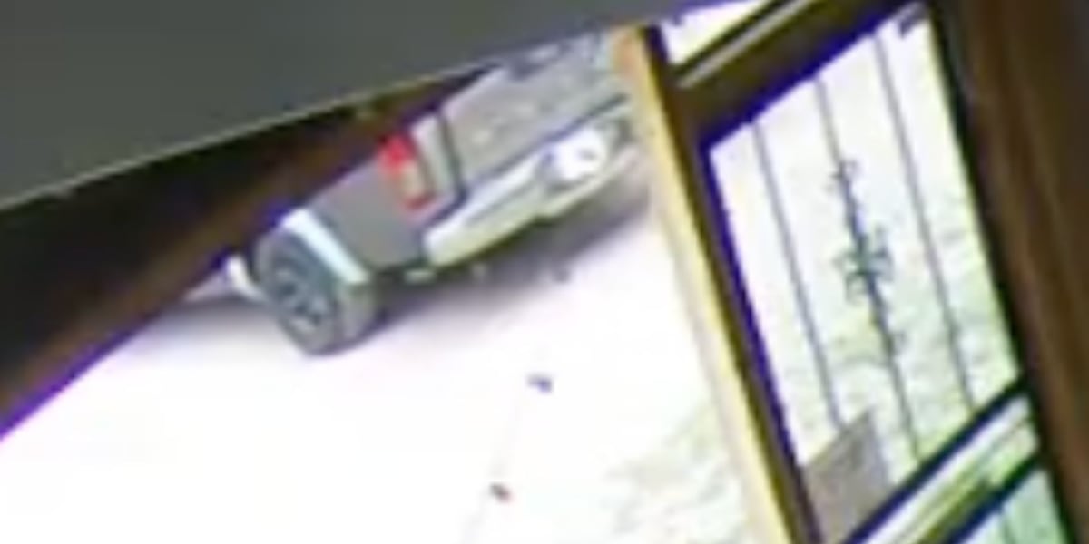 Video released of suspected truck that hit, critically injured Nashville business owner [Video]