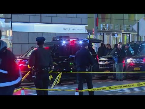 NYPD confronting Venezuelan gang Tren de Aragua in NYC [Video]