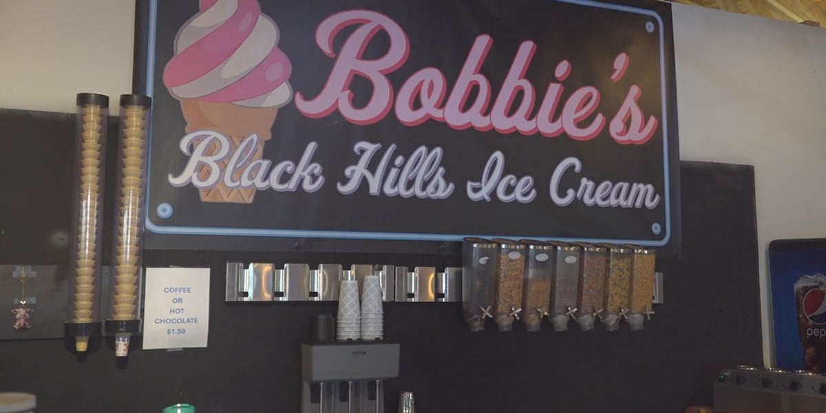 Locally owned ice cream shop opens up in Lead [Video]