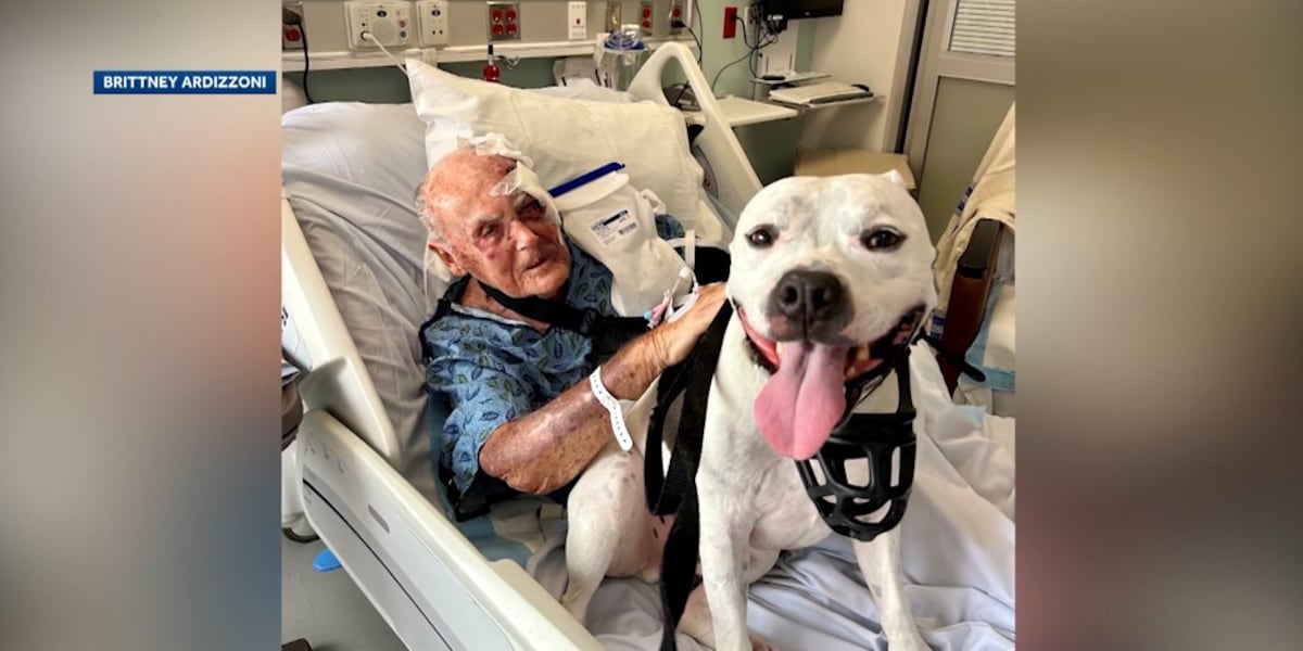 Dog saves 86-year-old owner after naked man attacks him outside home, family says [Video]