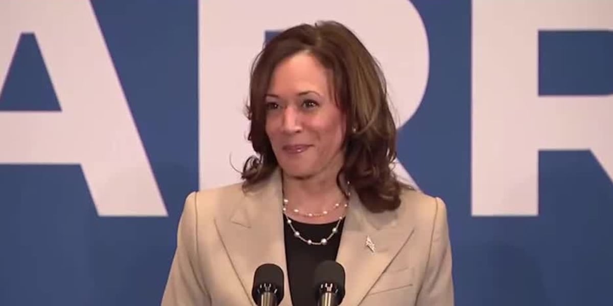 Kansas City Democrats weigh in on Bidens endorsement of Harris for President [Video]