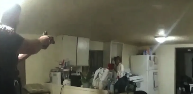 Bodycam Footage Released of Illinois Deputy’s Fatal Shooting of Unarmed Black Woman Who Called 911 to Report Home Intruder [Video]