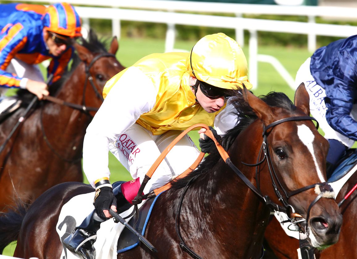 The Lowdown: Qatar Prix Du Jockey Club [Video]