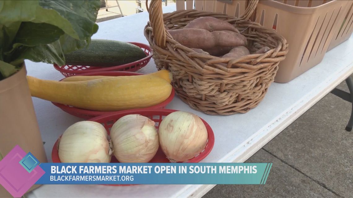 Black Farmers Market in South Memphis [Video]