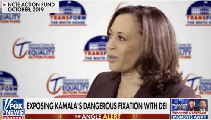 HuffPost Op-Ed Breaks Ranks, Admits Obvious Truth About Kamala Harris [Video]