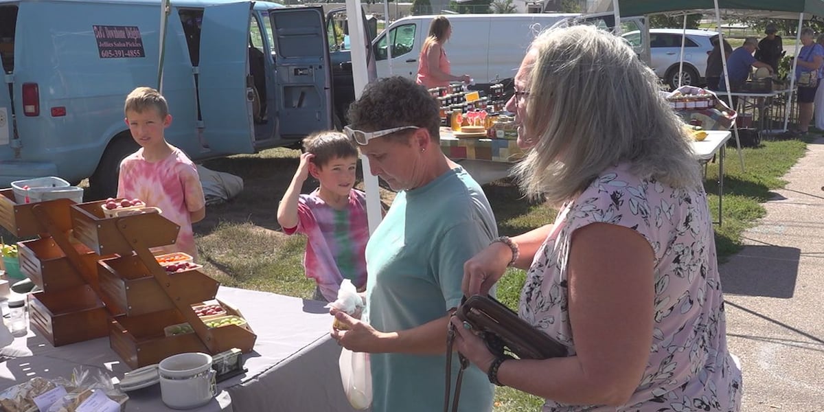 One business at Black Hills Farmers Market is experiencing an average season [Video]