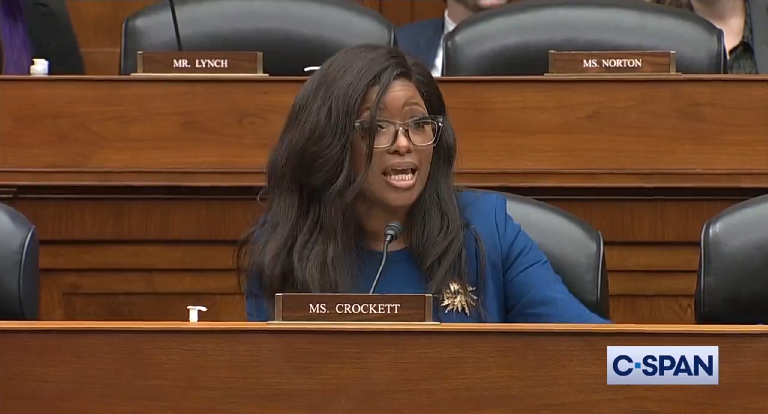 Jasmine Crockett Goes After GOP Witnesses During Hearing [Video]