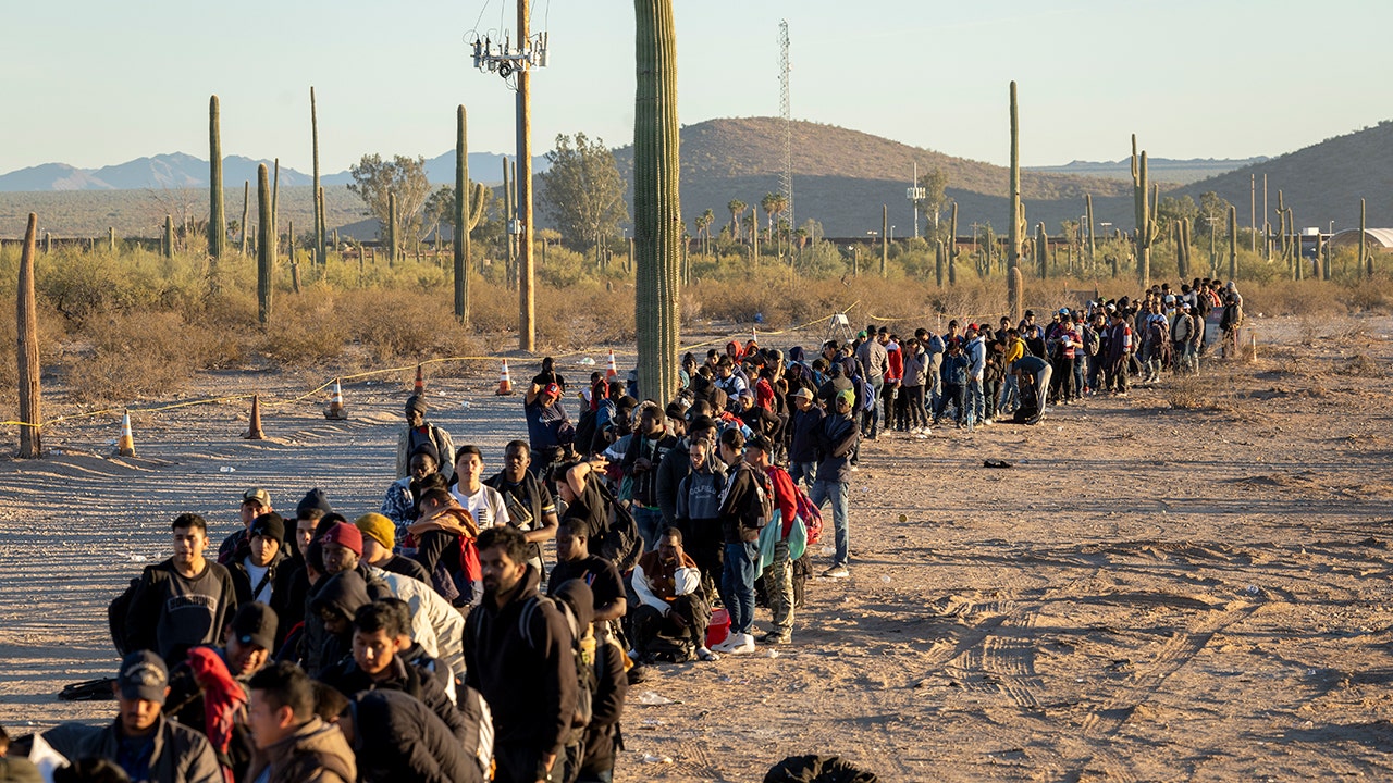 Immigration expert warns Black Americans are being impacted by migrants ‘flooding their communities’ [Video]