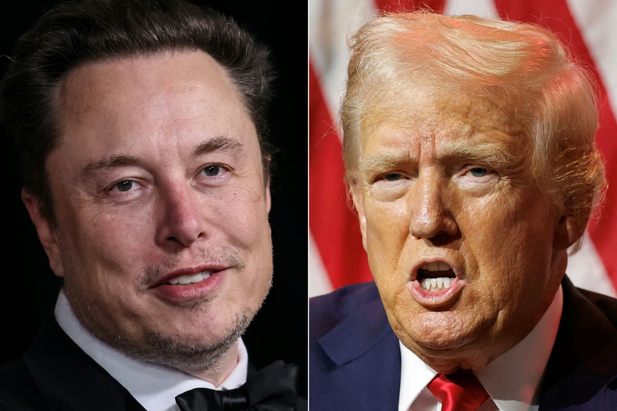 Donald Trump and Elon Musk bromance timeline: Pair appear together at US election campaign rally [Video]