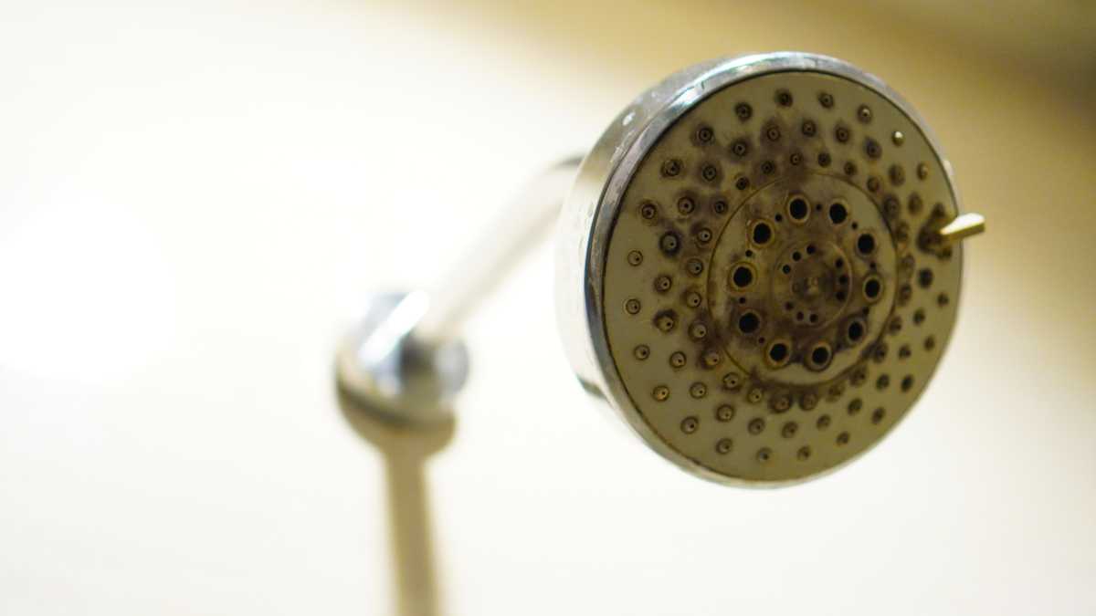 Your showerhead and toothbrush are teeming with viruses [Video]