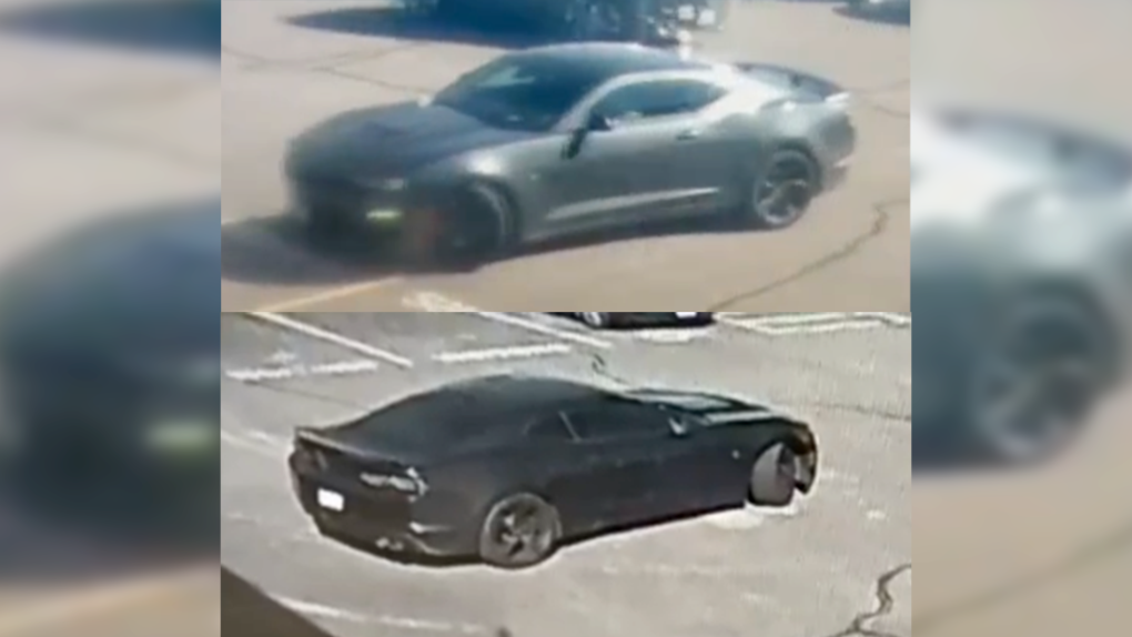 OPP seek Camaro driver after pedestrian struck [Video]