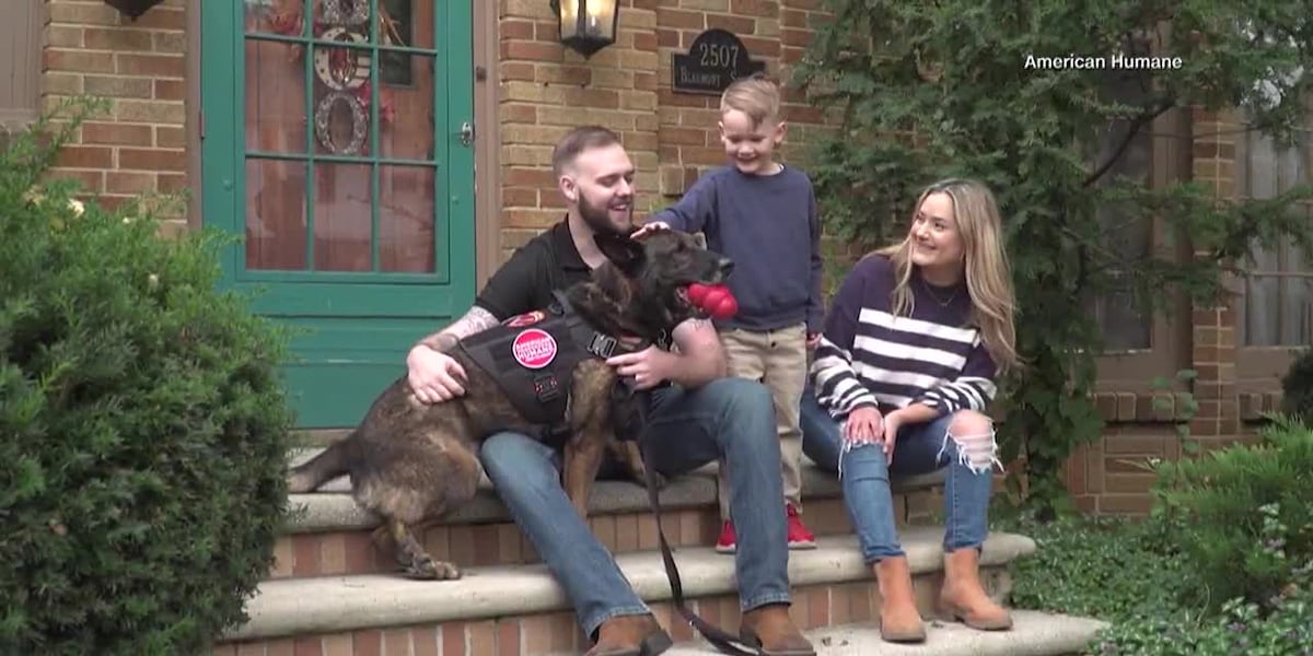 Take a look: Military dog reunites with former handler after his retirement [Video]