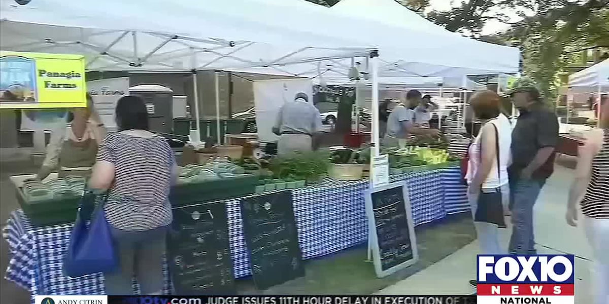 Fall Market in the Park returns to downtown Mobile [Video]